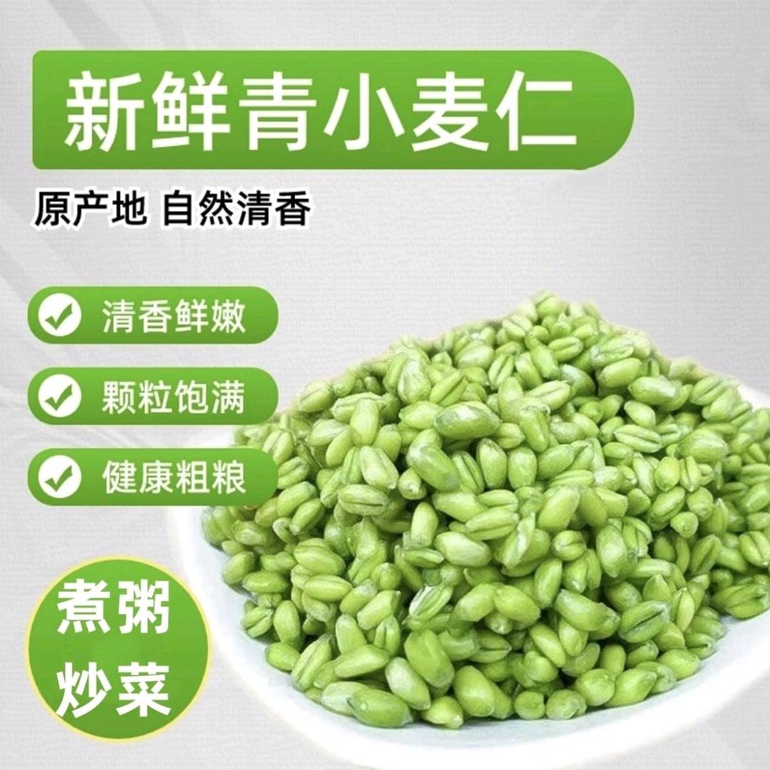 青粒
