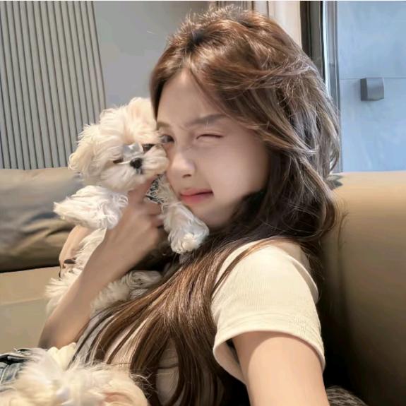 🐰