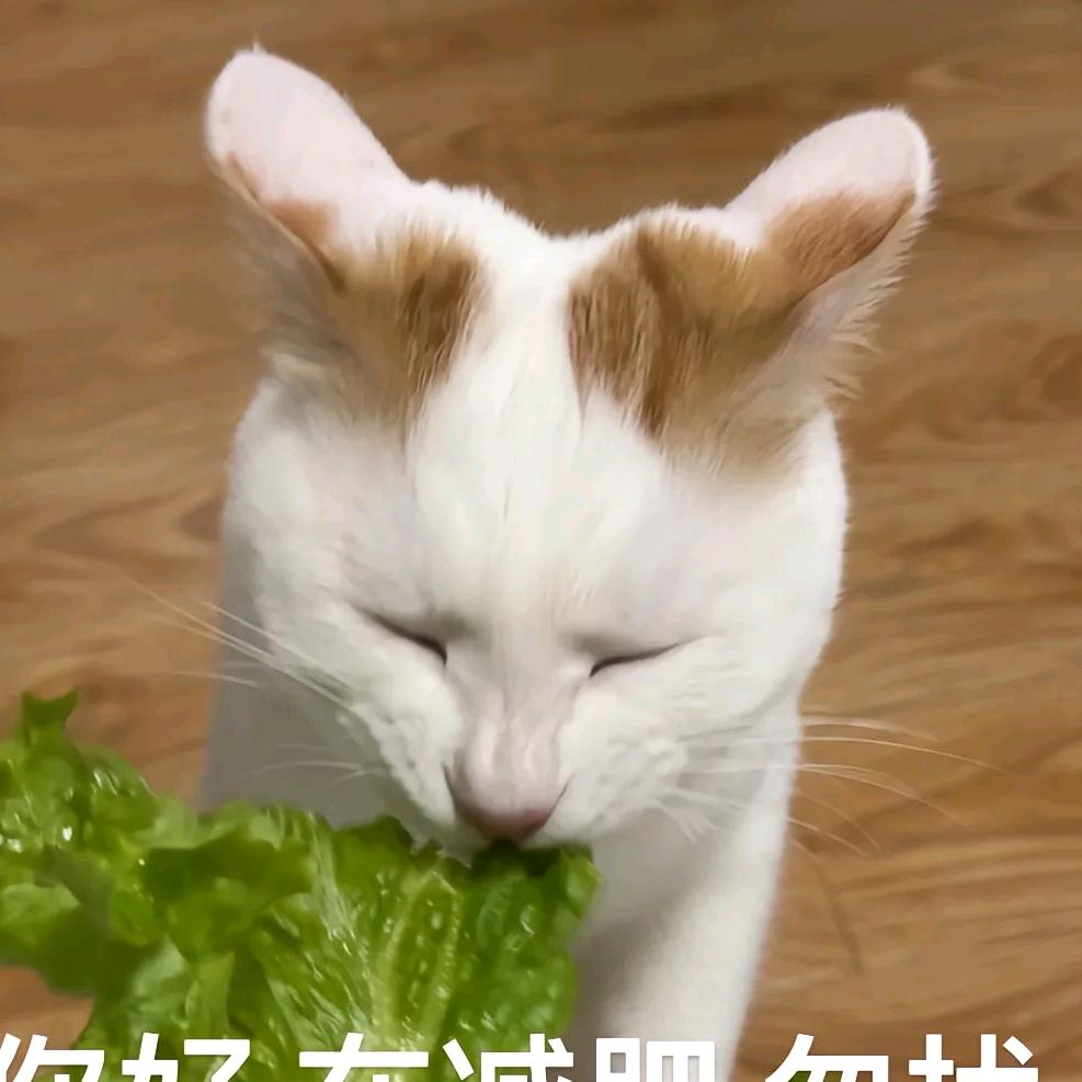 风过林梢