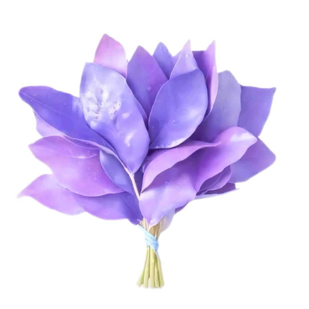 洁jie