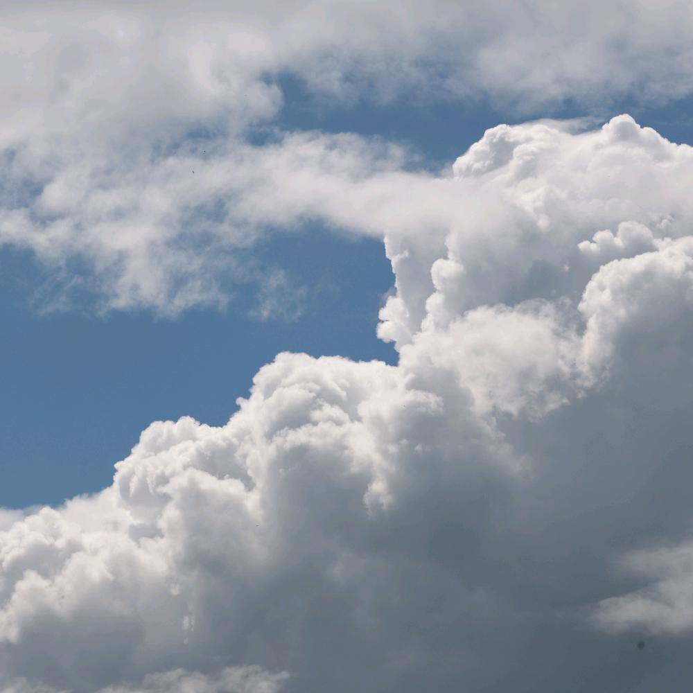 改变世界的小公司