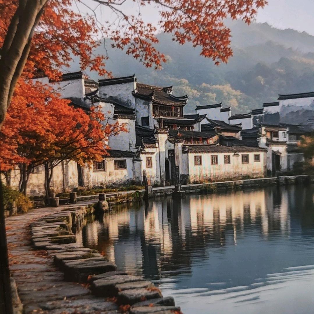 金豆豆的头像