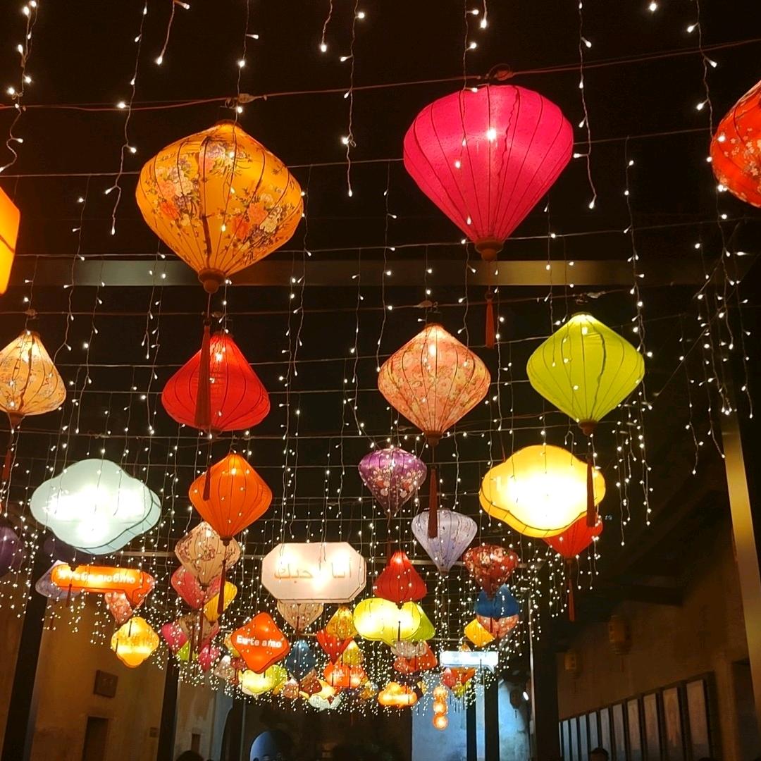 爱做梦的小不点