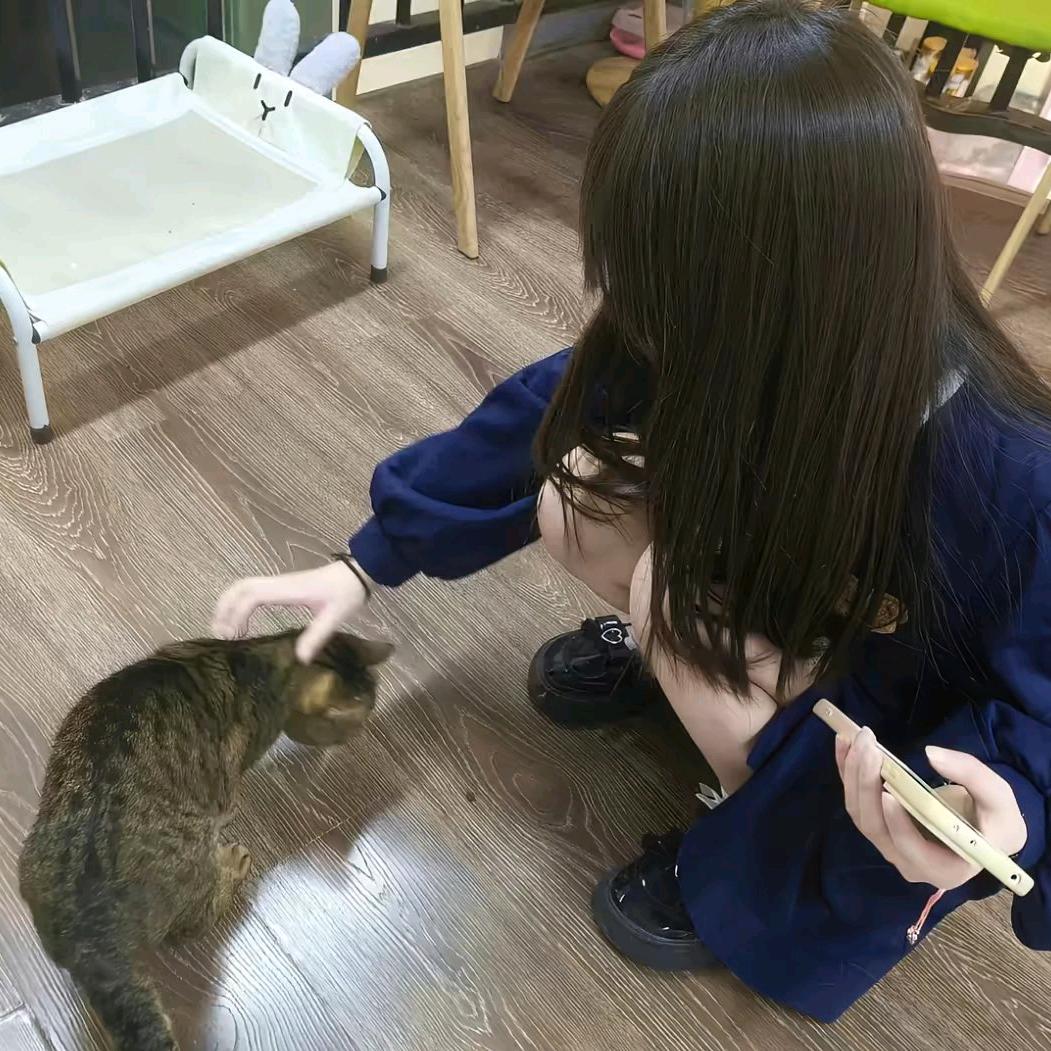 啊啊啊