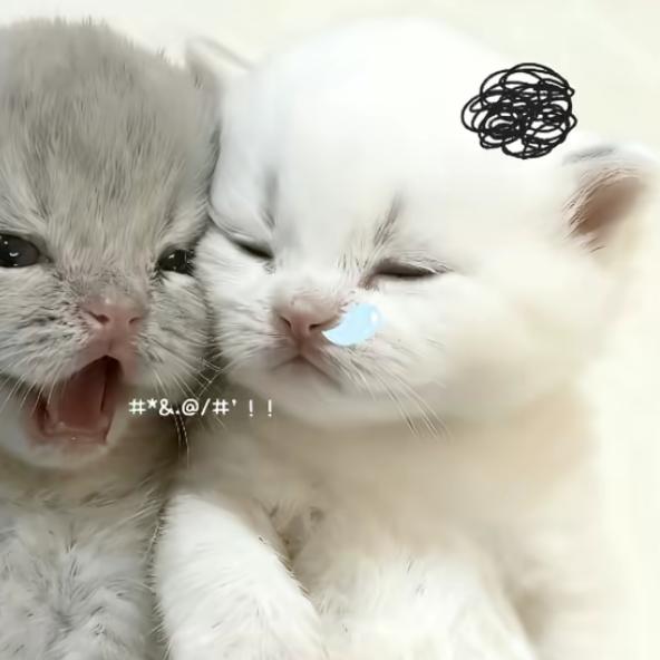 痘印我惹你没.