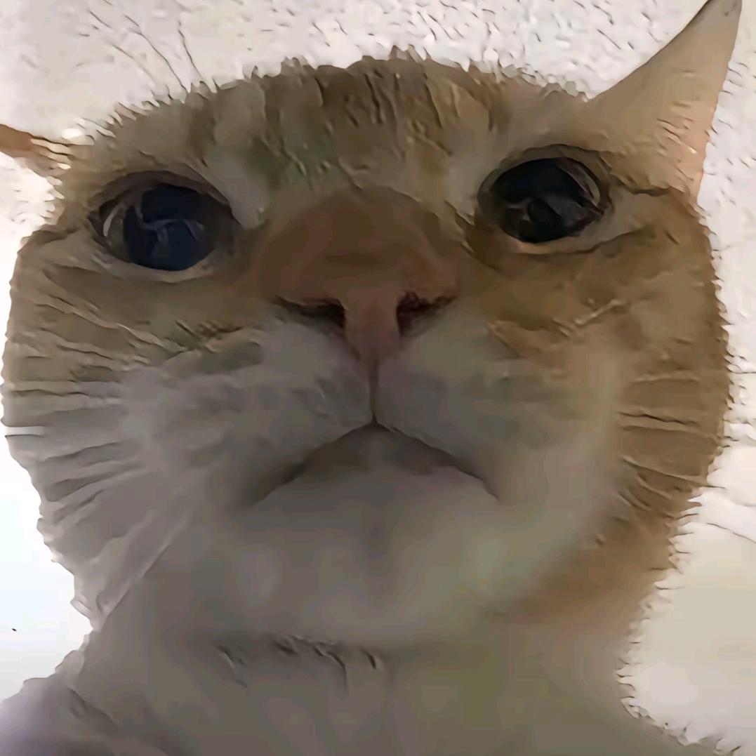 ☪︎鹤白