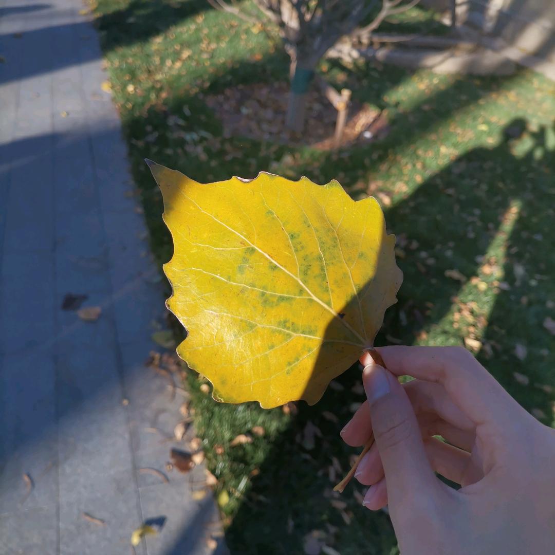 云中书房(早7点45分)