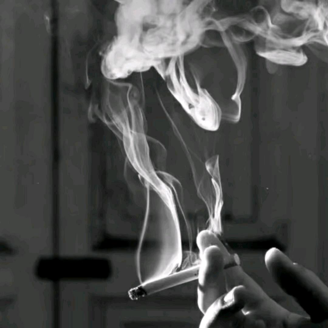 。゜゜(´辻弍`) ゜゜。