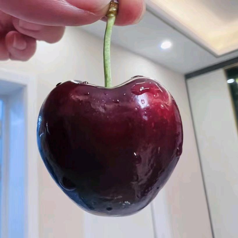 ❤ (ɔˆз倾倾一笑ˆ⌣ˆc)❤