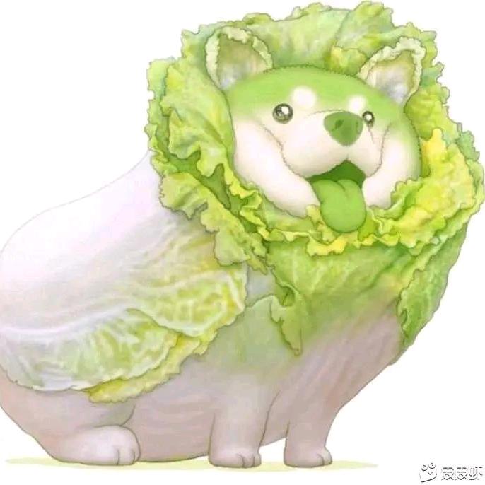 知青