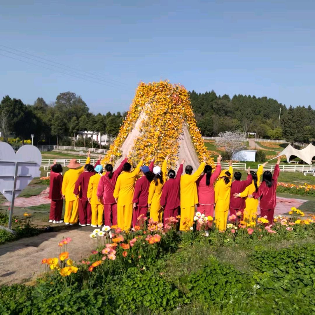 @艳姐爱太极早上8点开播