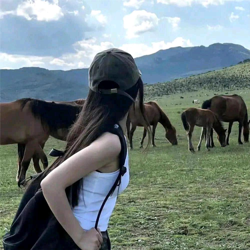 念雪归尘