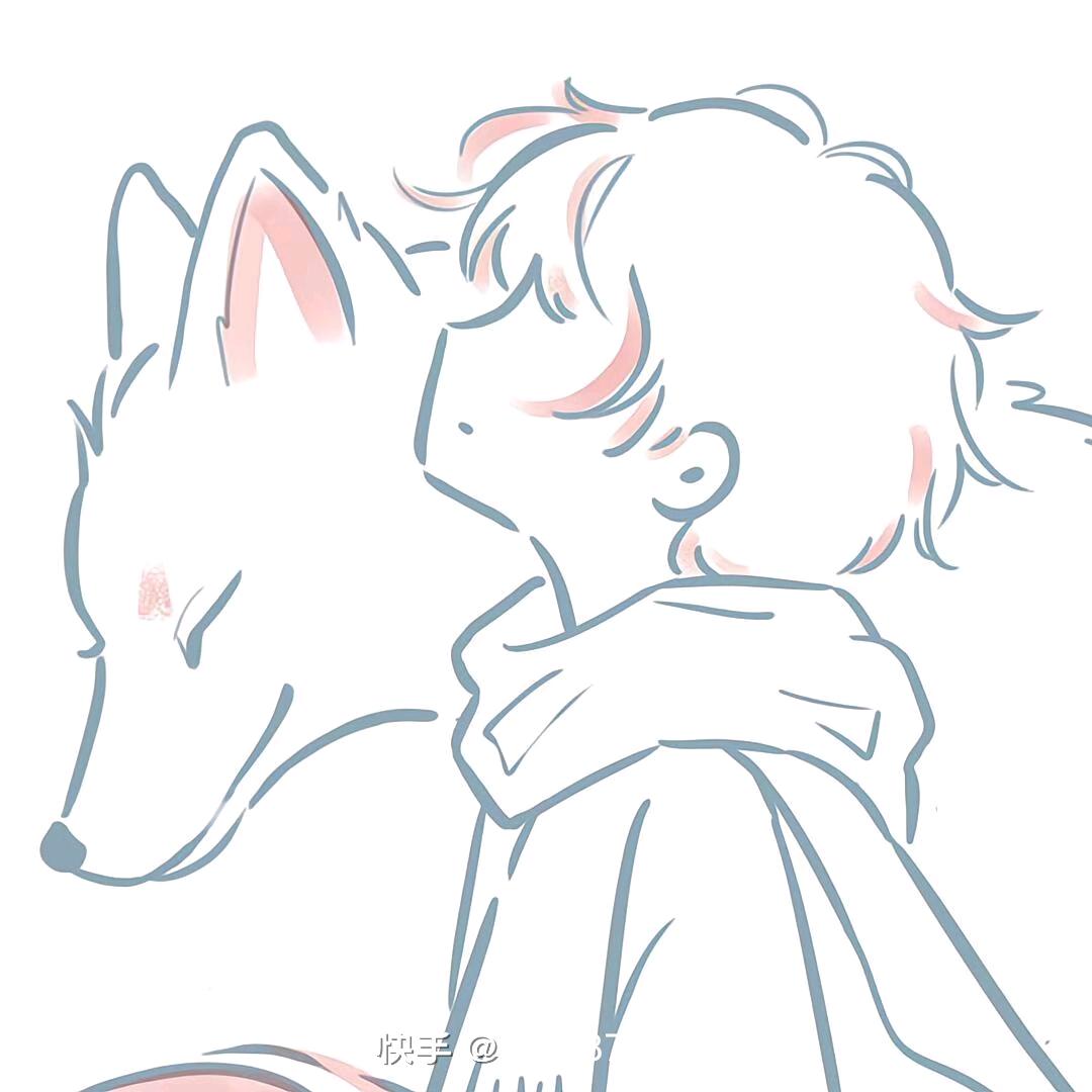 🐶毛