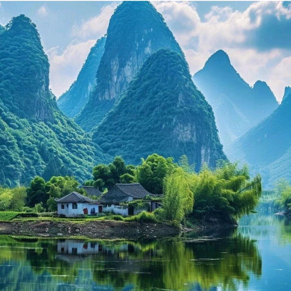 毛毛虫的窝