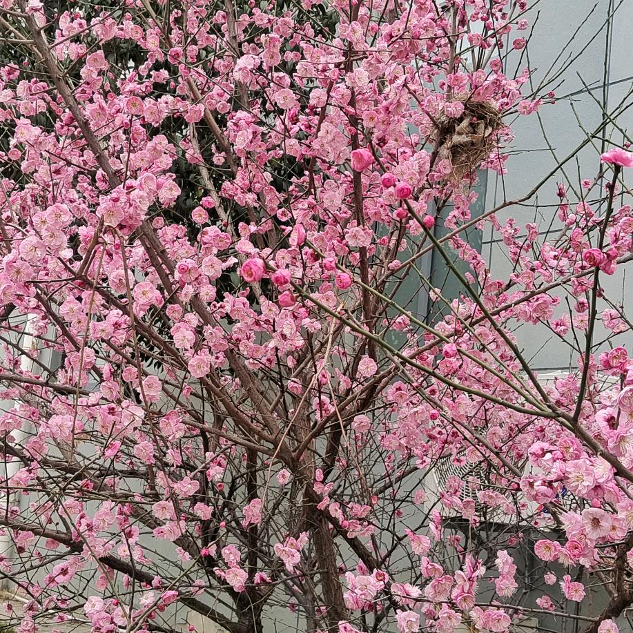 ꫛ᭄靠谱💞大叔ꦿ້໌ᮨ࿐