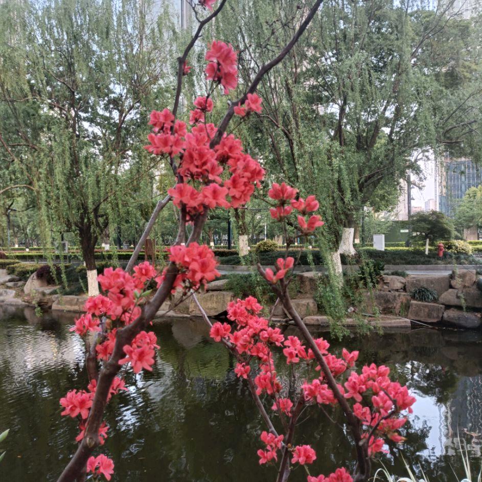 ༺ཌༀ一切如风ༀད༻