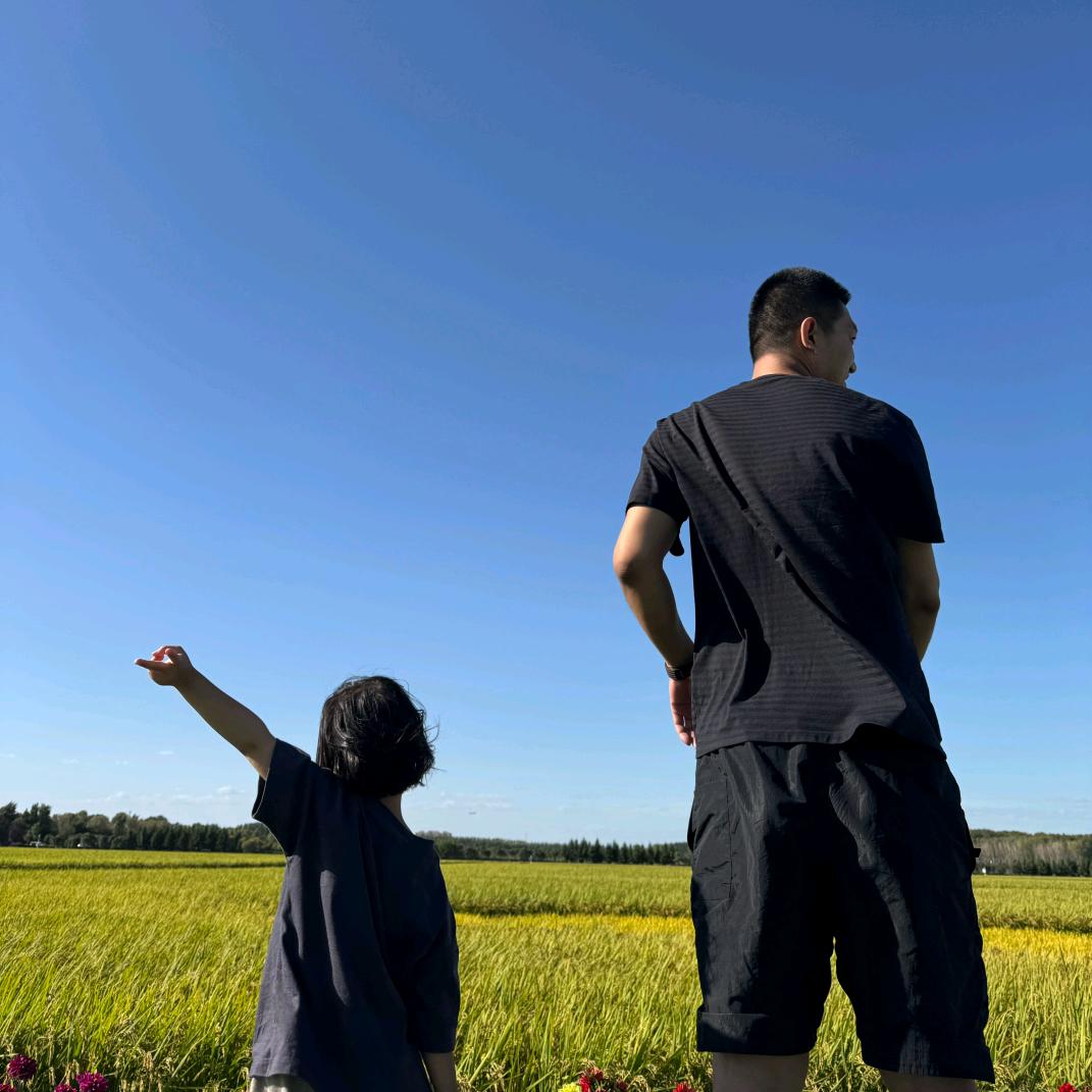 鹏基机械话事人