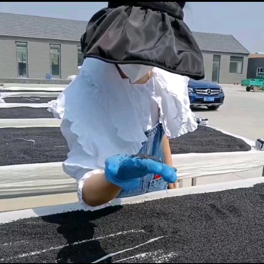 我在小院做九蒸九晒