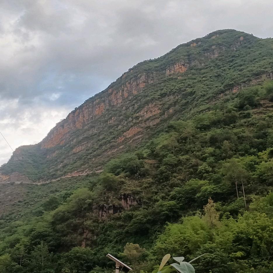 拼搏