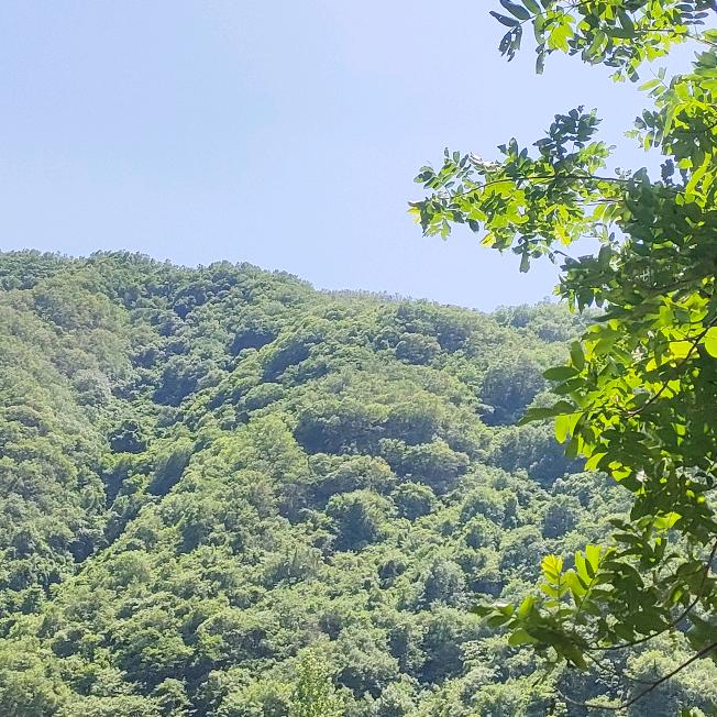 春雨拒绝连赞