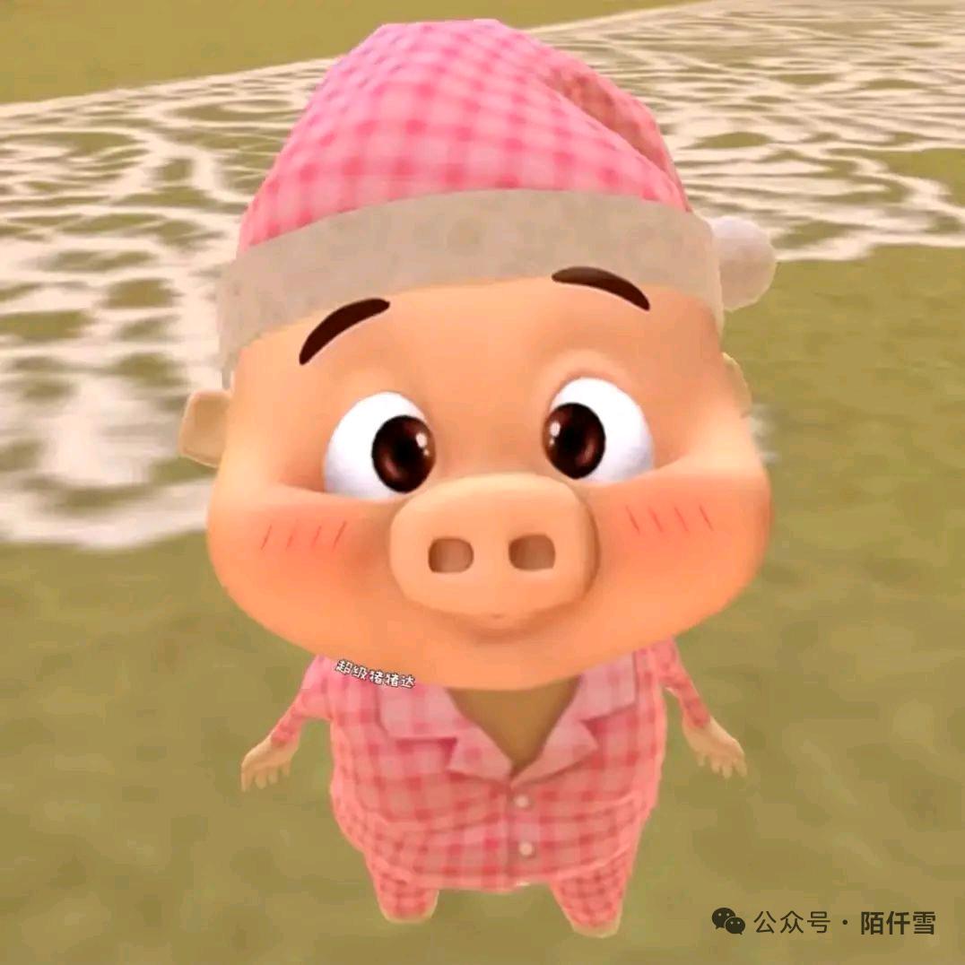 哈基枳