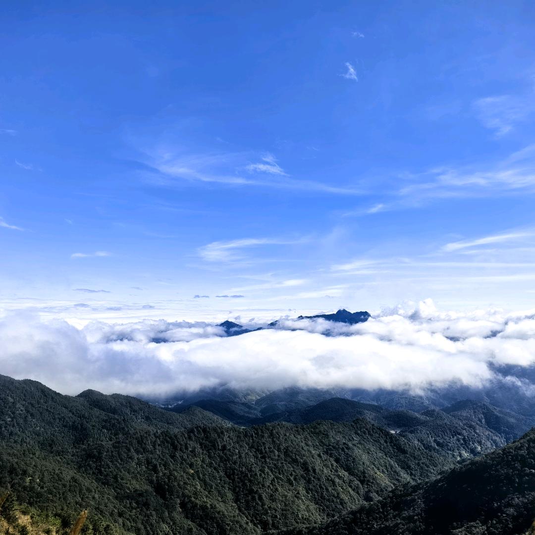 金羊城跨境物流