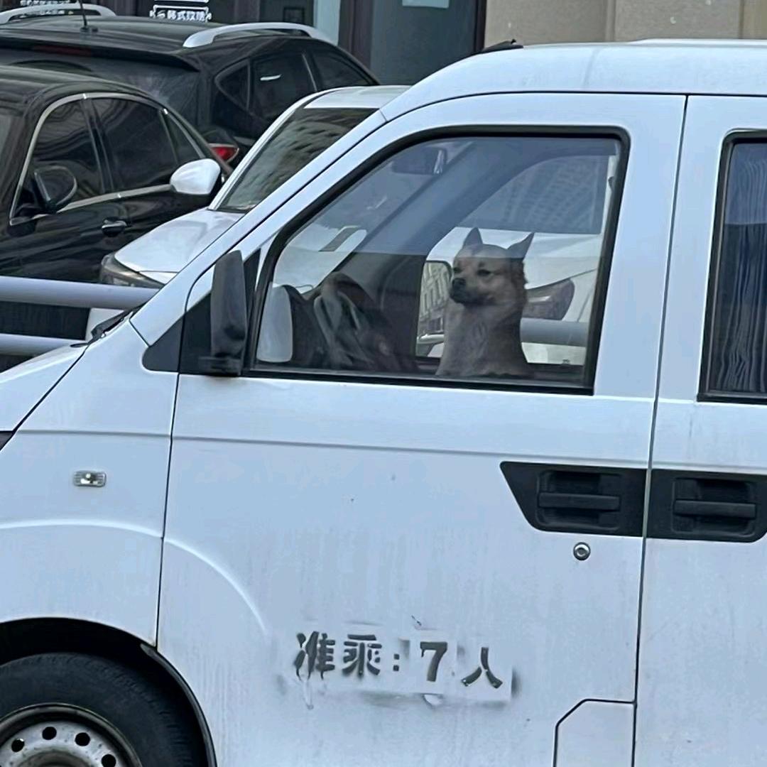 好好学习i