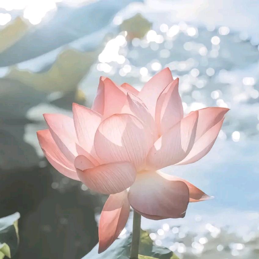 姚安县苏三百货有限公司