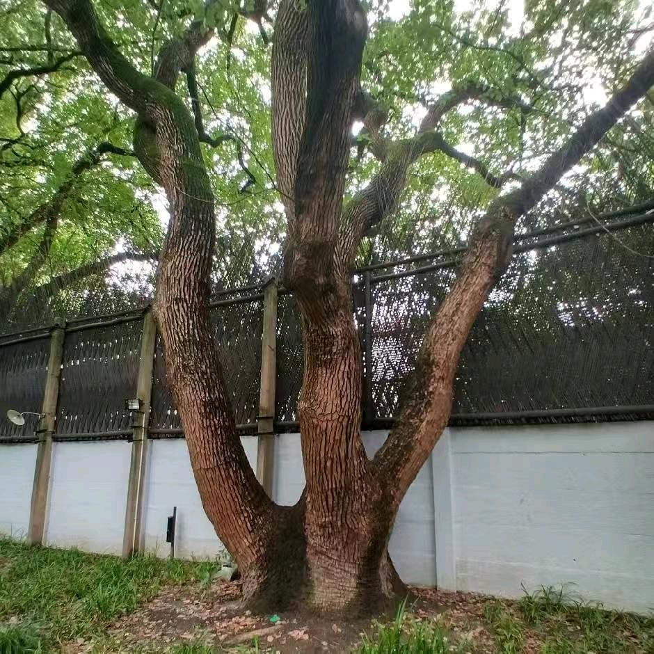 升学规划异地政策剖析