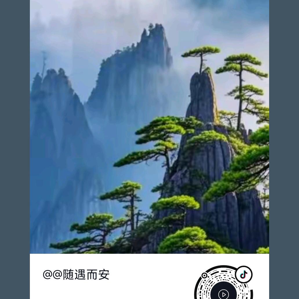 松柏长青