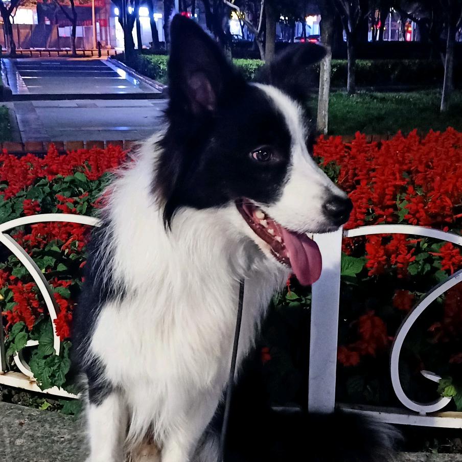 嘿，菇凉聊会儿