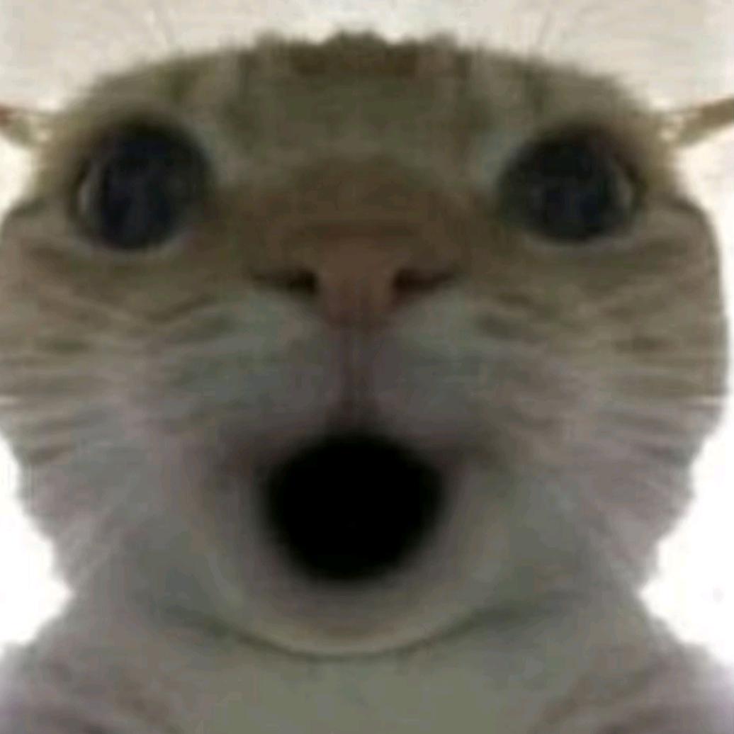 初醒（鼠鼠日记接跑刀）