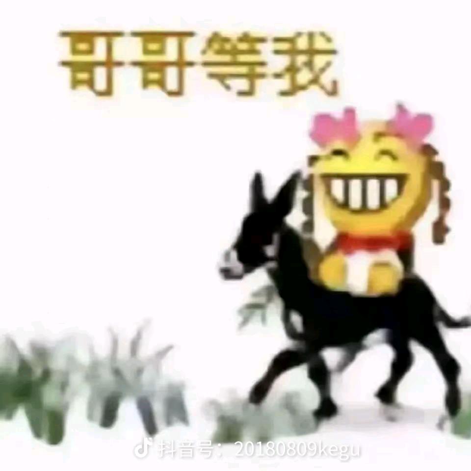 玖玖