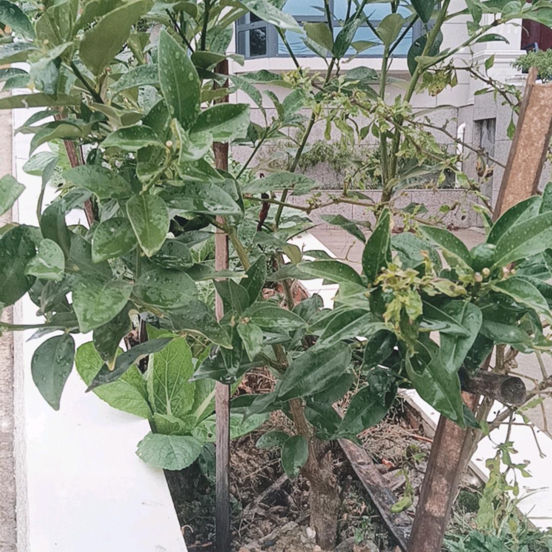 已重置