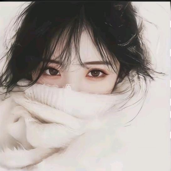 白羊✨