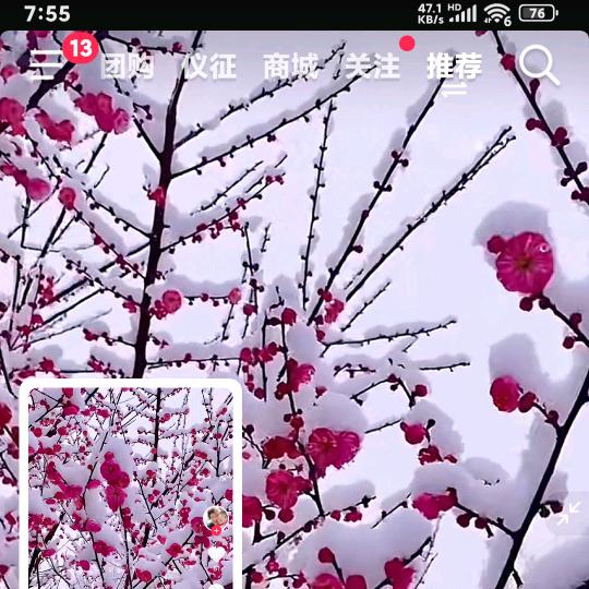 梅你不行