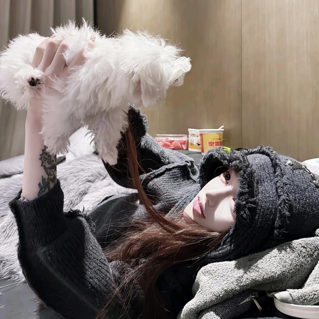 ㅤㅤ︋︋︋︋︋si瑶·