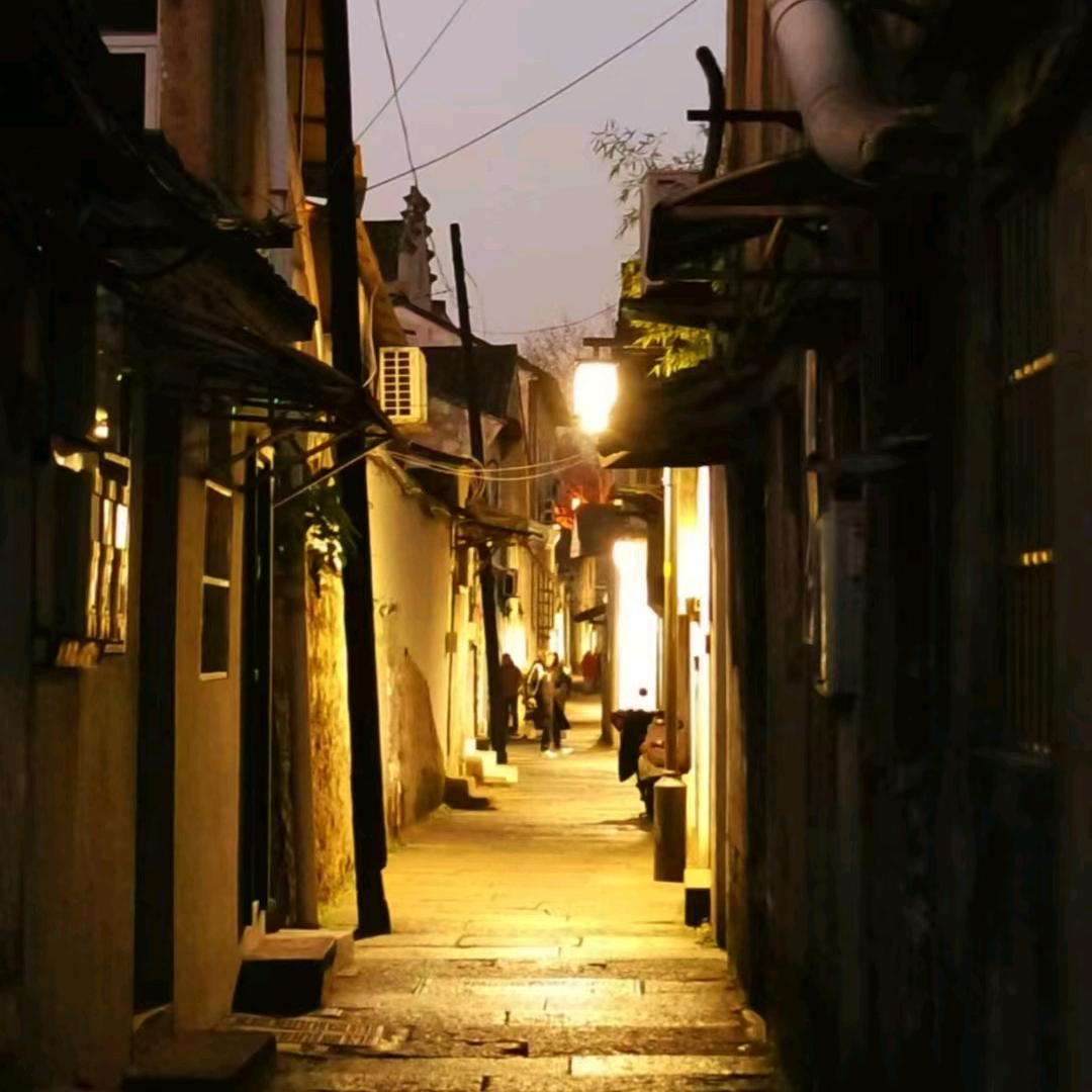 龙316