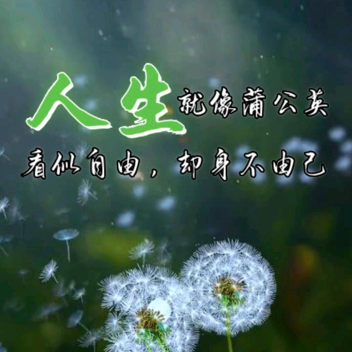 平安~喜乐