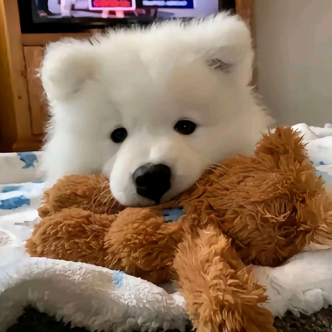 橘子里面的世界