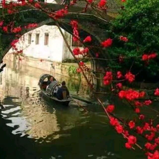 小卡拉米