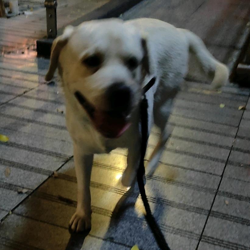 AA.头像