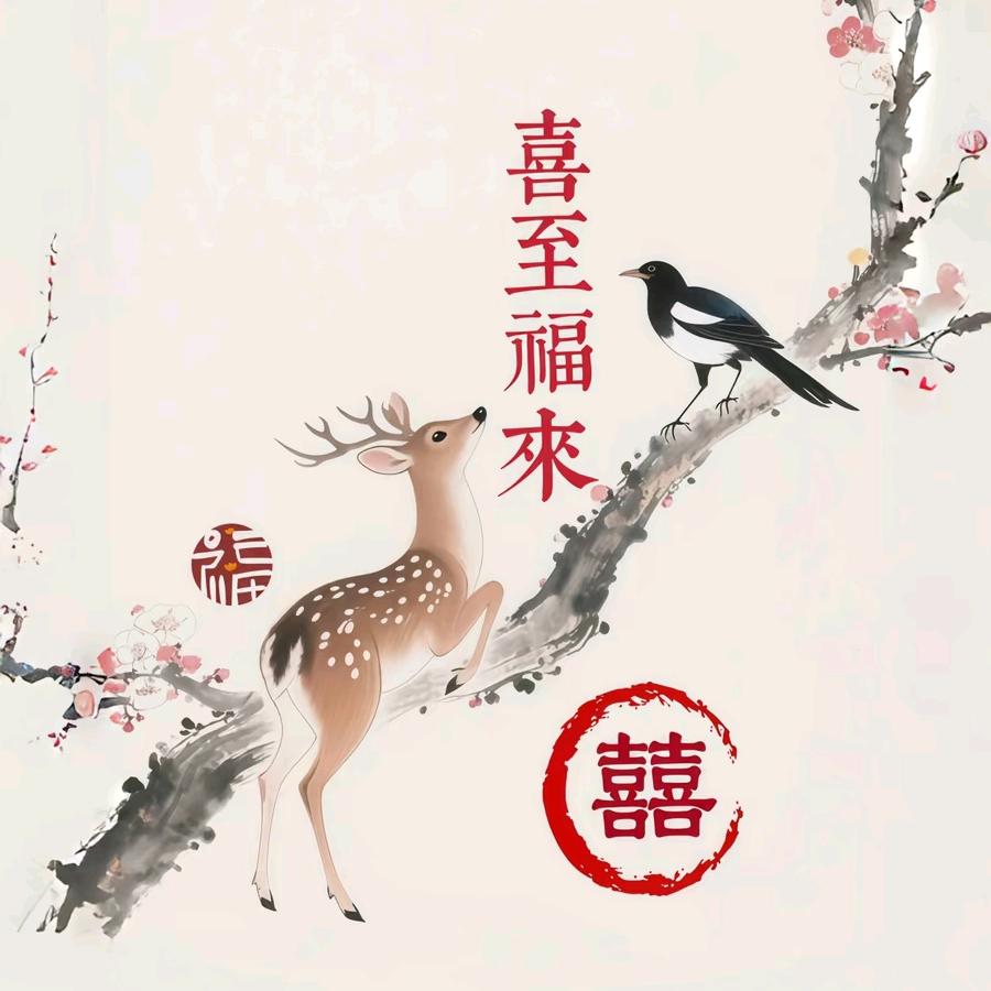 茸天下