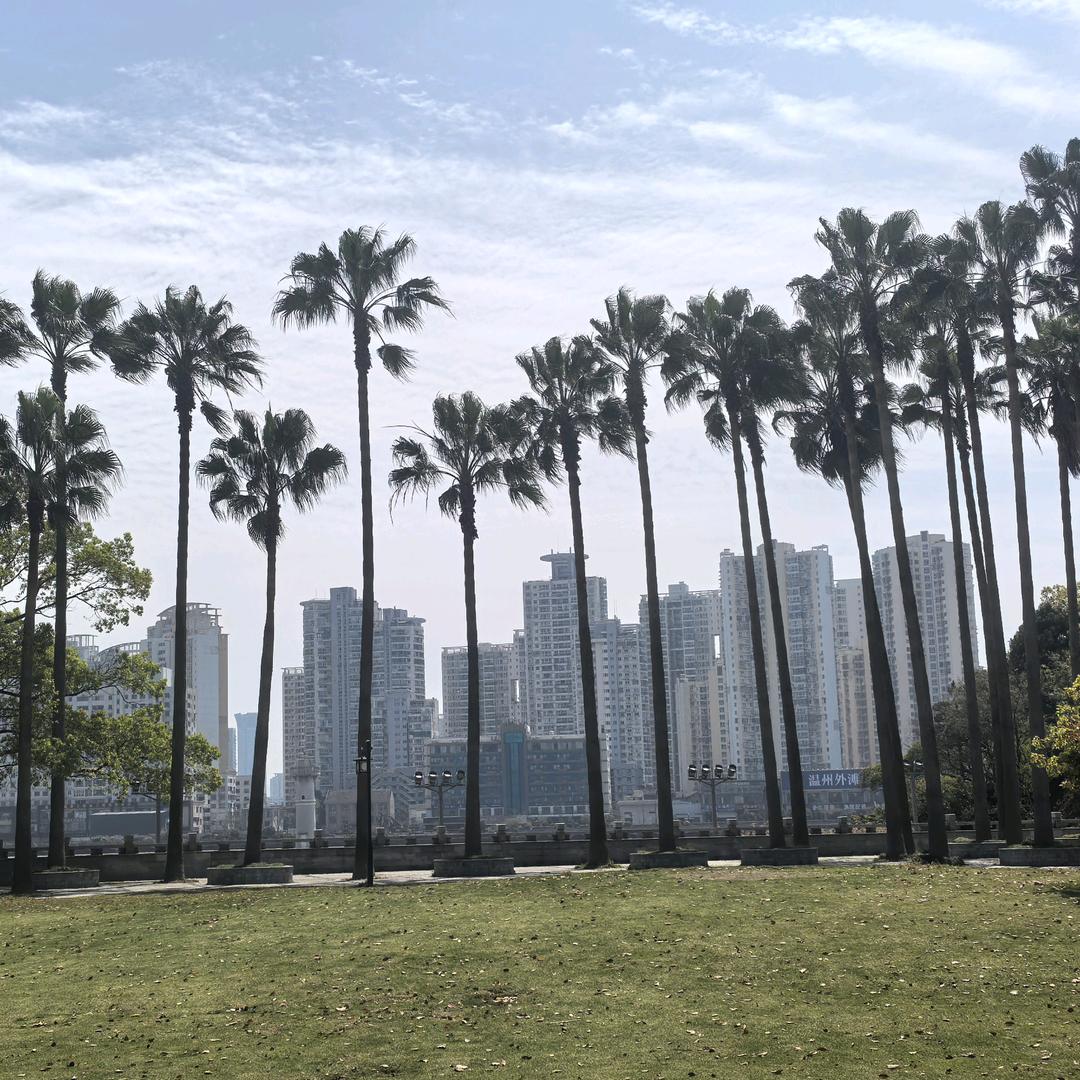 黄先生（湖南湘西）