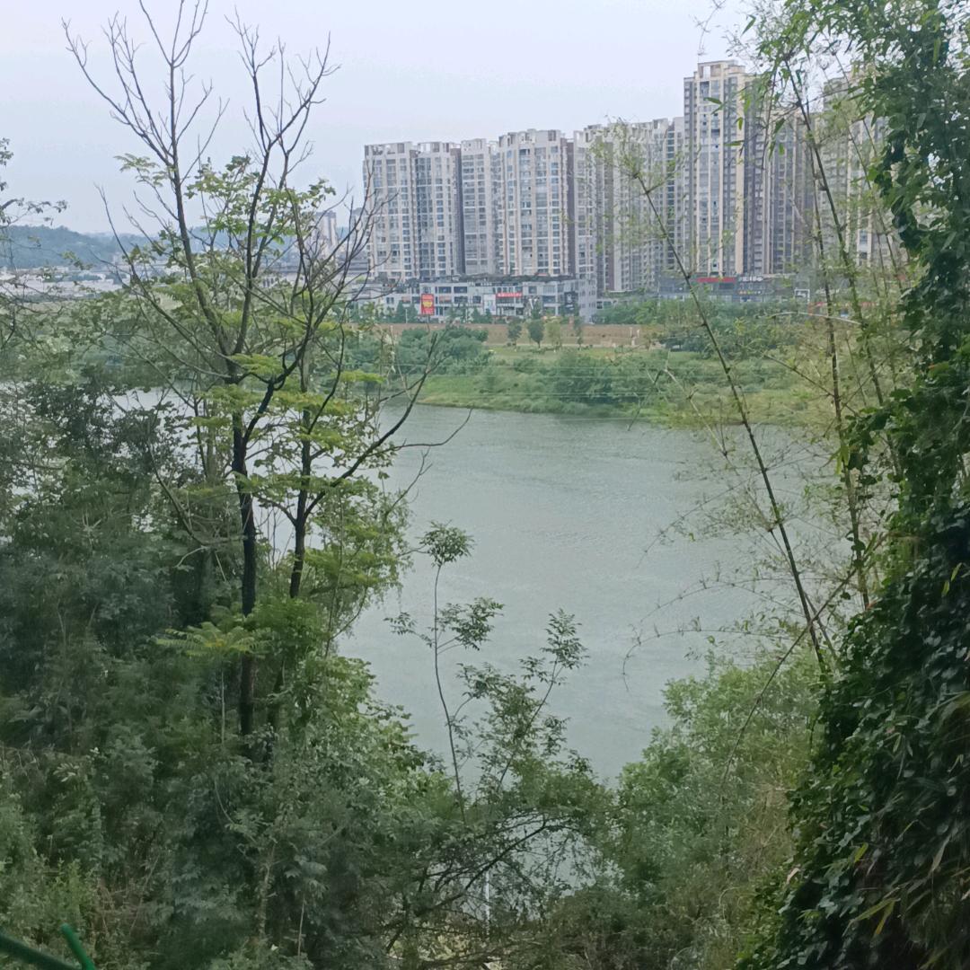 寂寞空虚