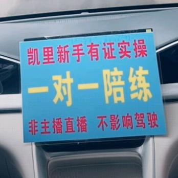 凯里专业陪驾服务教练