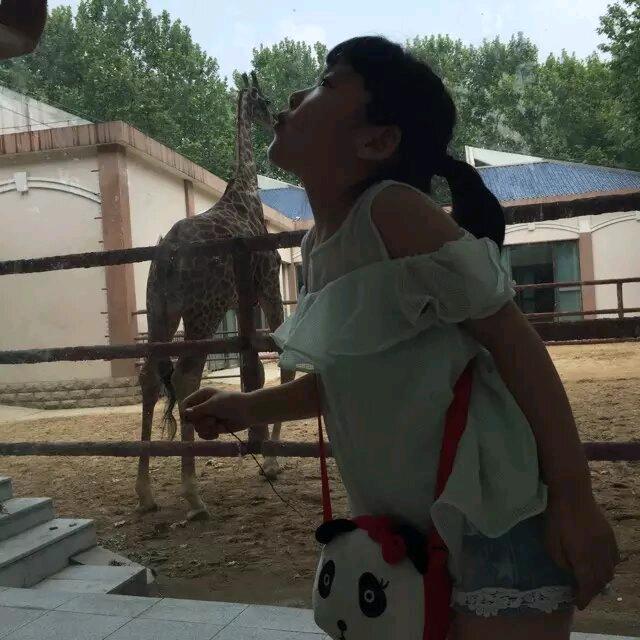 一抹月光