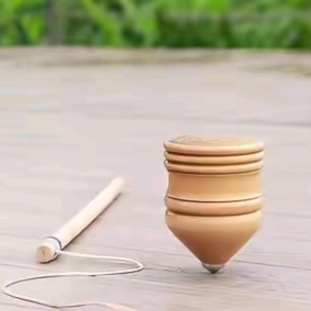 重生之在宠物店当陀螺