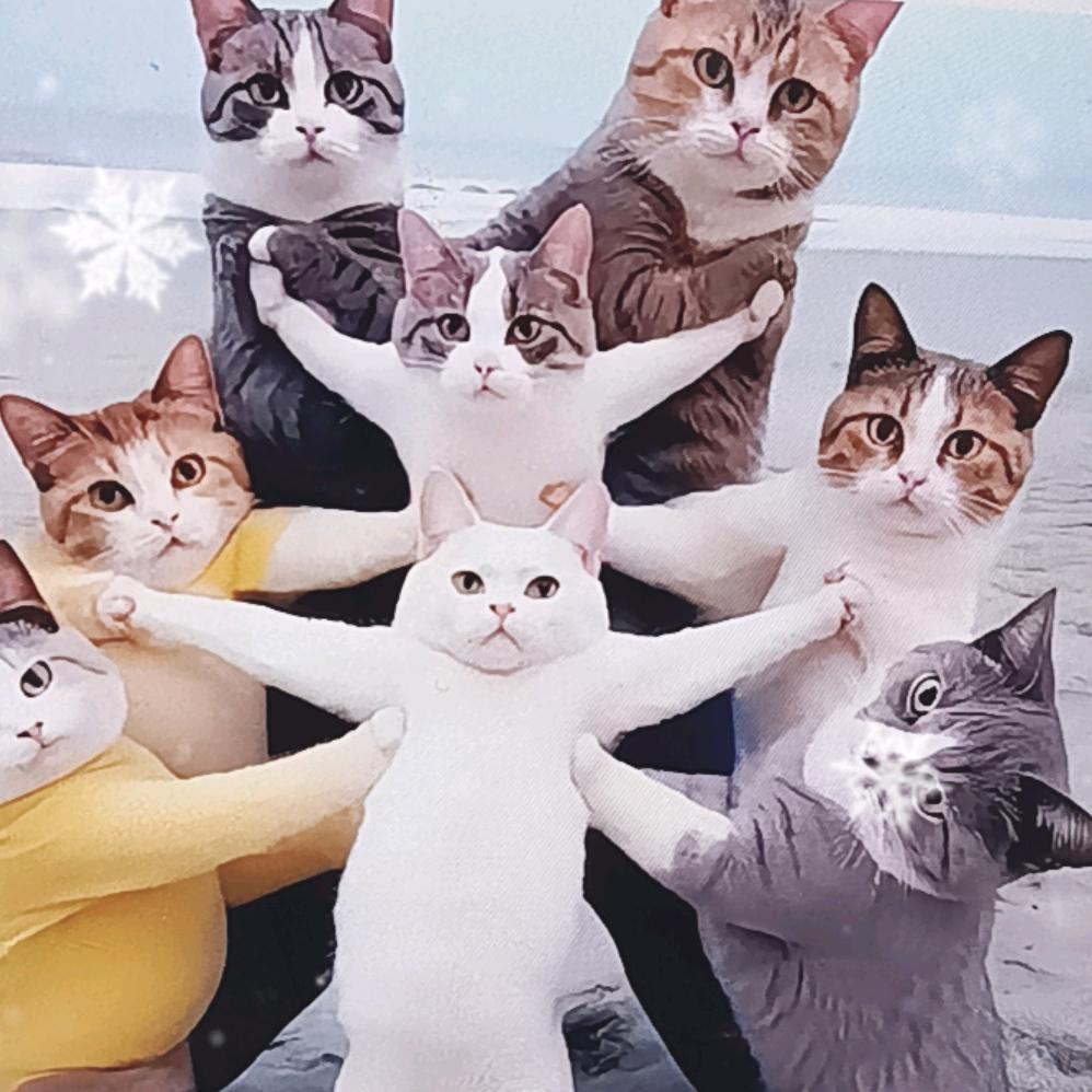 亳州雅轩居别墅大包