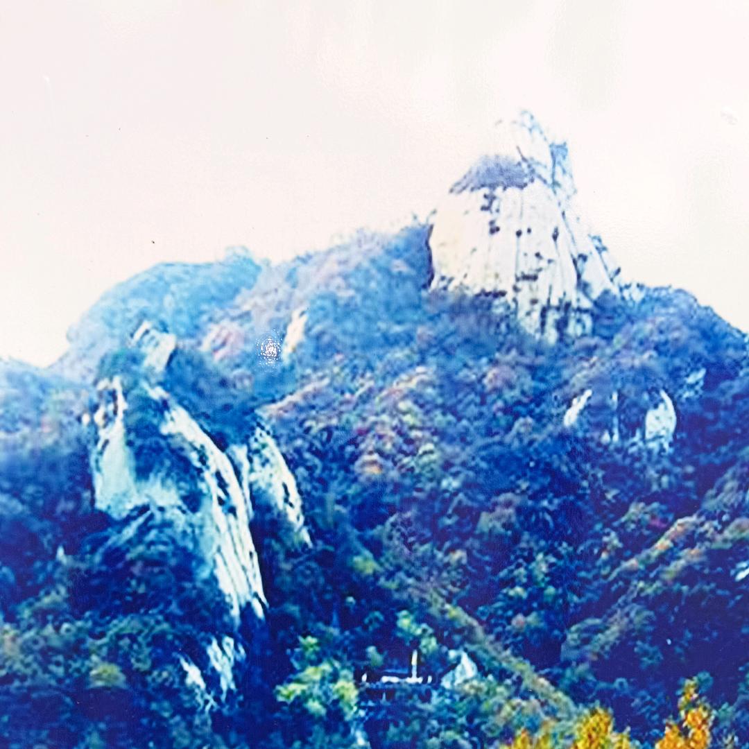 为了生活去奋斗